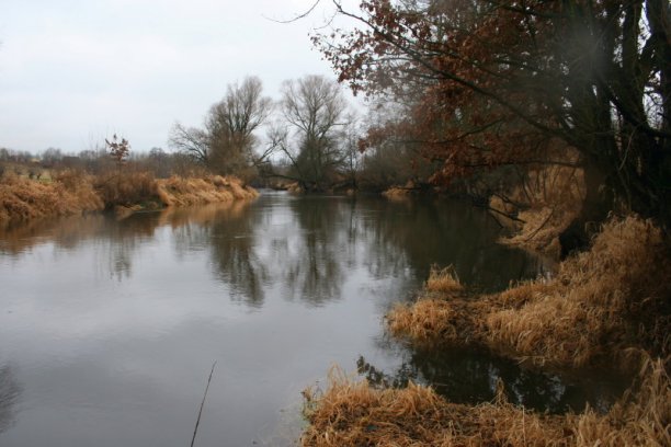 Shrap-Drakers.pl | Shrap Drakers Fishing | Wędkarstwo 