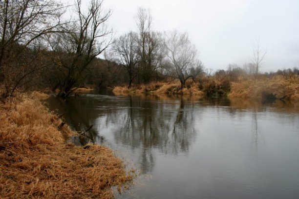 Shrap-Drakers.pl | Shrap Drakers Fishing | Wędkarstwo 
