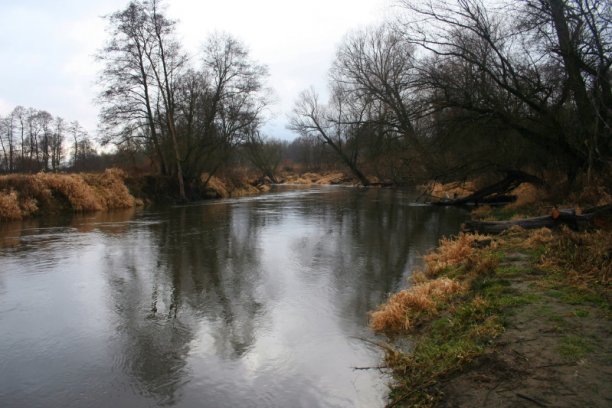 Shrap-Drakers.pl | Shrap Drakers Fishing | Wędkarstwo 