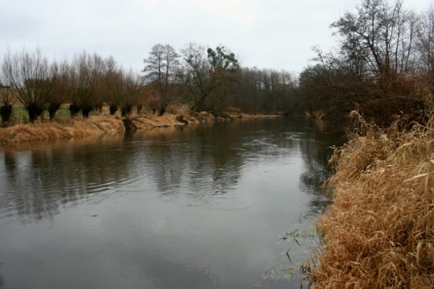 Shrap-Drakers.pl | Shrap Drakers Fishing | Wędkarstwo 