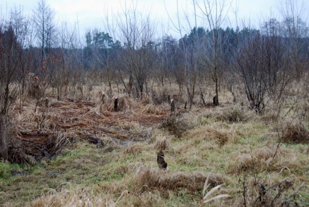 Shrap-Drakers.pl | Shrap Drakers Fishing | Wędkarstwo 