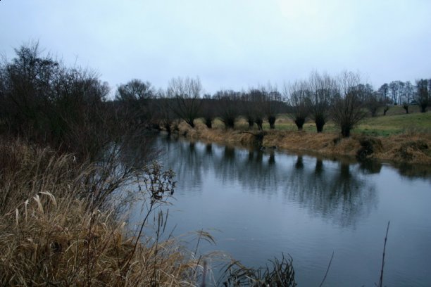 Shrap-Drakers.pl | Shrap Drakers Fishing | Wędkarstwo 