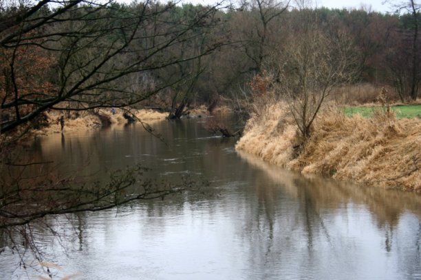 Shrap-Drakers.pl | Shrap Drakers Fishing | Wędkarstwo 