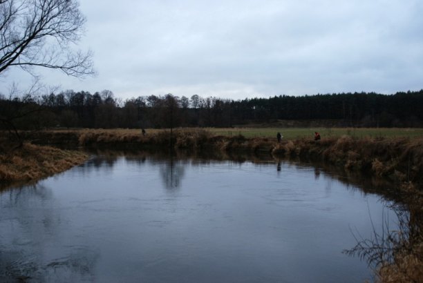 Shrap-Drakers.pl | Shrap Drakers Fishing | Wędkarstwo 