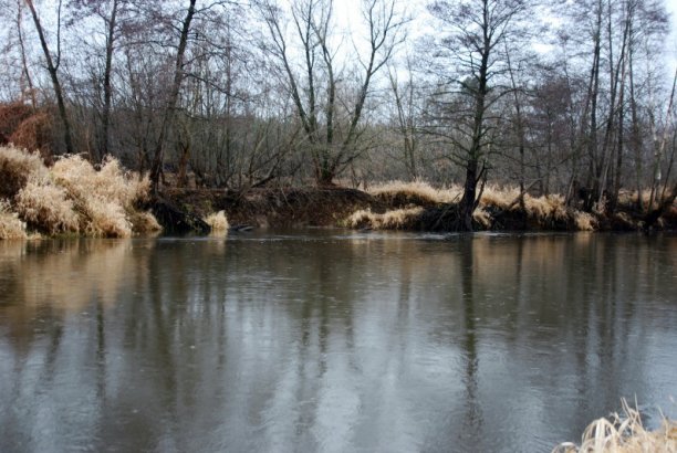 Shrap-Drakers.pl | Shrap Drakers Fishing | Wędkarstwo 