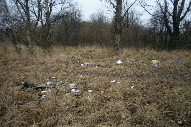 Shrap-Drakers.pl | Shrap Drakers Fishing | Wędkarstwo 