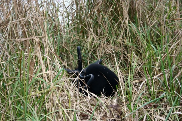 Shrap-Drakers.pl | Shrap Drakers Fishing | Wędkarstwo 