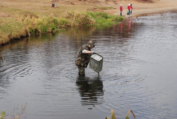 Shrap-Drakers.pl | Shrap Drakers Fishing | Wędkarstwo 