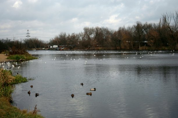 Shrap-Drakers.pl | Shrap Drakers Fishing | Wędkarstwo 