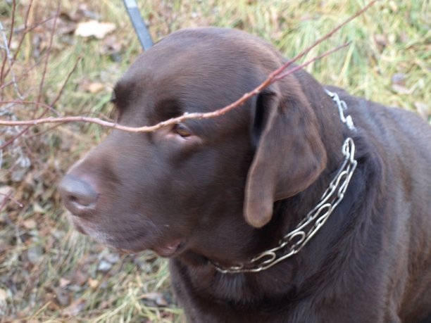 Shrap-Drakers.pl | Shrap Drakers Fishing | Wędkarstwo 