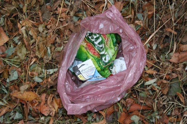 Shrap-Drakers.pl | Shrap Drakers Fishing | Wędkarstwo 