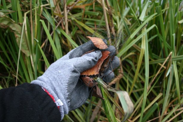 Shrap-Drakers.pl | Shrap Drakers Fishing | Wędkarstwo 