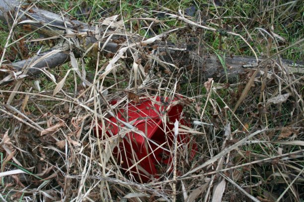 Shrap-Drakers.pl | Shrap Drakers Fishing | Wędkarstwo 