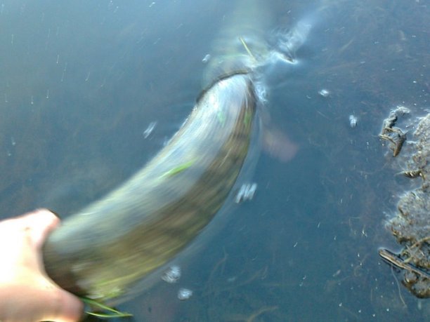 Shrap-Drakers.pl | Shrap Drakers Fishing | Wędkarstwo 