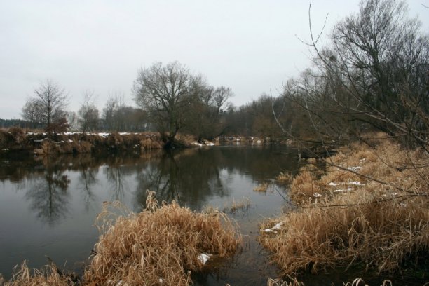 Shrap-Drakers.pl | Shrap Drakers Fishing | Wędkarstwo 