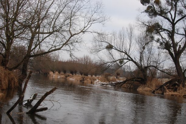 Shrap-Drakers.pl | Shrap Drakers Fishing | Wędkarstwo 