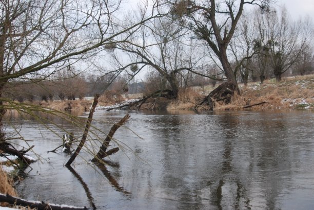 Shrap-Drakers.pl | Shrap Drakers Fishing | Wędkarstwo 