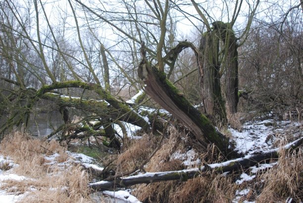 Shrap-Drakers.pl | Shrap Drakers Fishing | Wędkarstwo 