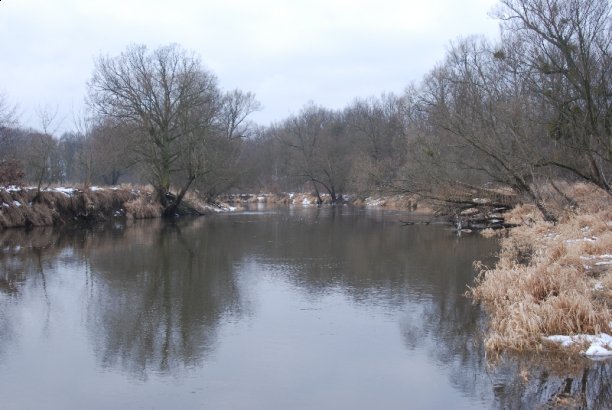 Shrap-Drakers.pl | Shrap Drakers Fishing | Wędkarstwo 