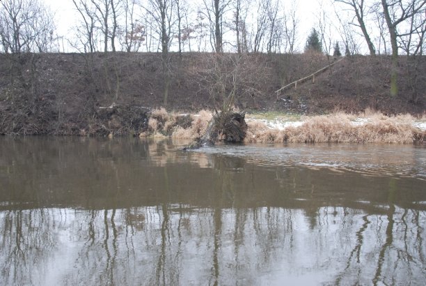 Shrap-Drakers.pl | Shrap Drakers Fishing | Wędkarstwo 