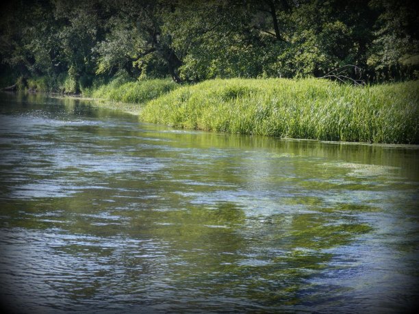 Shrap-Drakers.pl | Shrap Drakers Fishing | Wędkarstwo 