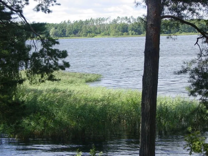Zdjęcie artykułu