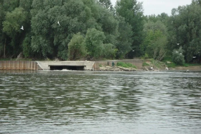 Zdjęcie artykułu