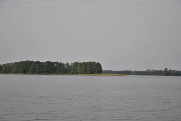 Zdjęcie artykułu