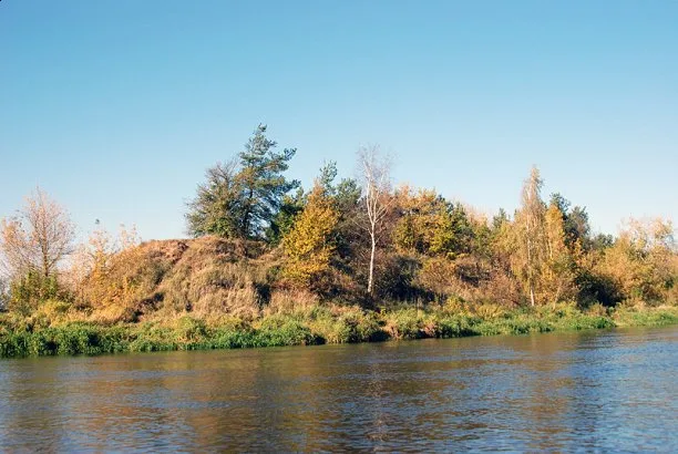 Zdjęcie artykułu