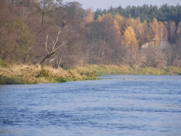 Zdjęcie artykułu