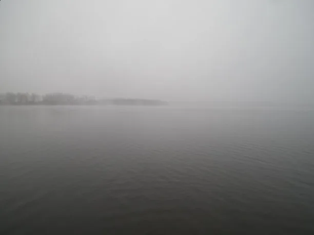 Zdjęcie artykułu