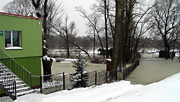 Zdjęcie artykułu