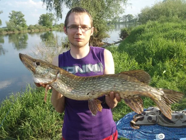 Zdjęcie artykułu