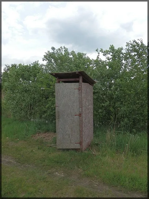 Zdjęcie artykułu