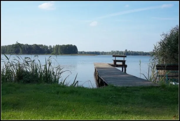 Zdjęcie artykułu