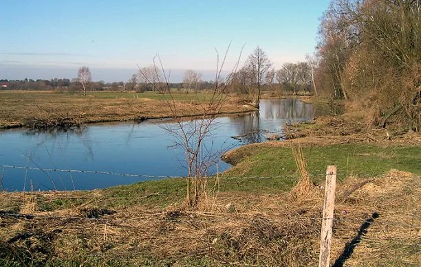 Zdjęcie artykułu
