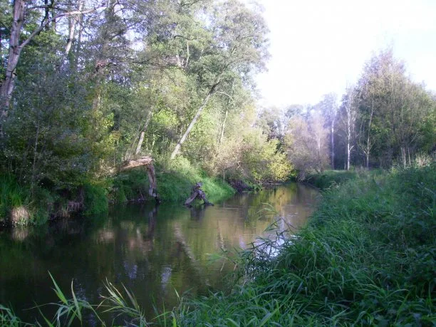 Zdjęcie artykułu