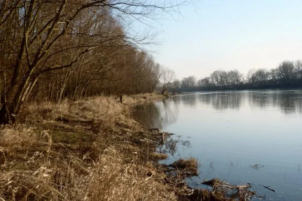 Zdjęcie artykułu