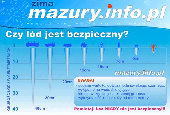 Zdjęcie artykułu