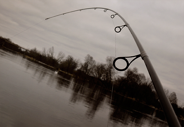 Shrap-Drakers.pl | Shrap Drakers Fishing | Wędkarstwo 