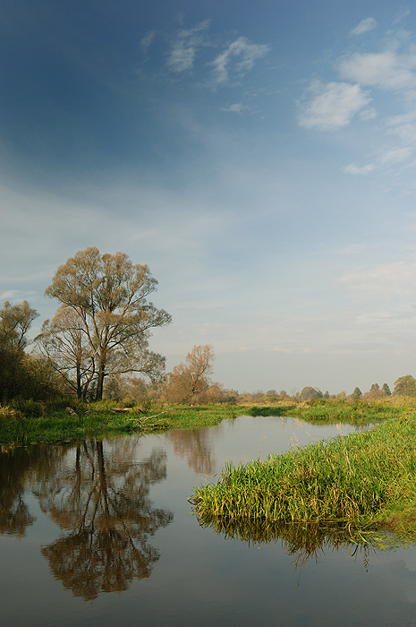 Shrap-Drakers.pl | Shrap Drakers Fishing | Wędkarstwo 