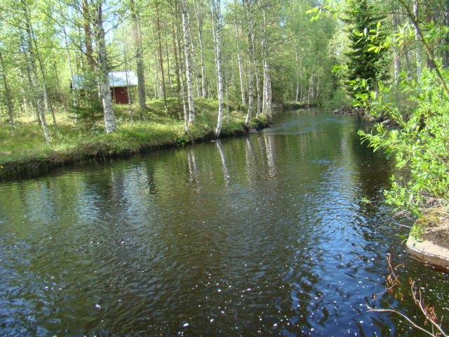 Shrap-Drakers.pl | Shrap Drakers Fishing | Wędkarstwo 