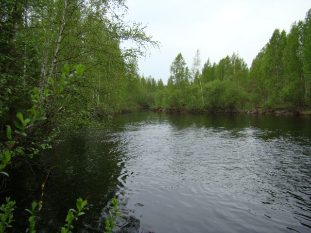 Shrap-Drakers.pl | Shrap Drakers Fishing | Wędkarstwo 