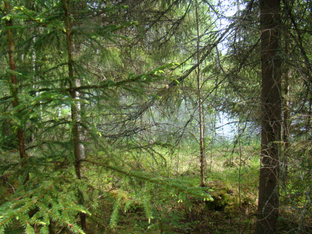 Shrap-Drakers.pl | Shrap Drakers Fishing | Wędkarstwo 