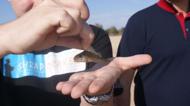 Shrap-Drakers.pl | Shrap Drakers Fishing | Wędkarstwo 