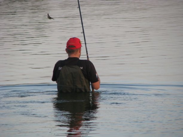 Shrap-Drakers.pl | Shrap Drakers Fishing | Wędkarstwo 