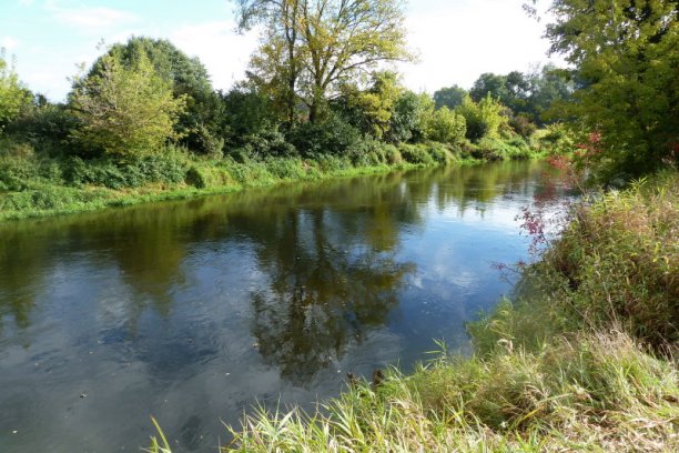 Shrap-Drakers.pl | Shrap Drakers Fishing | Wędkarstwo 