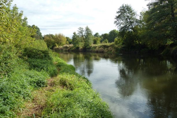 Shrap-Drakers.pl | Shrap Drakers Fishing | Wędkarstwo 