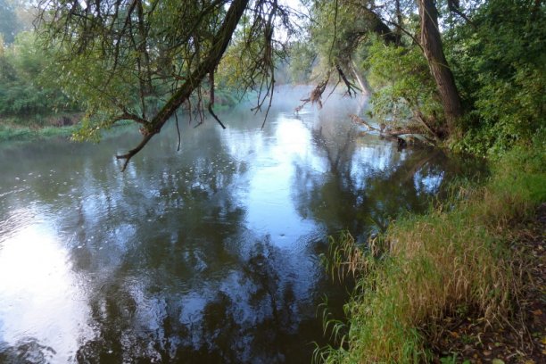 Shrap-Drakers.pl | Shrap Drakers Fishing | Wędkarstwo 