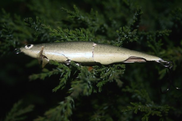 Shrap-Drakers.pl | Shrap Drakers Fishing | Wędkarstwo 